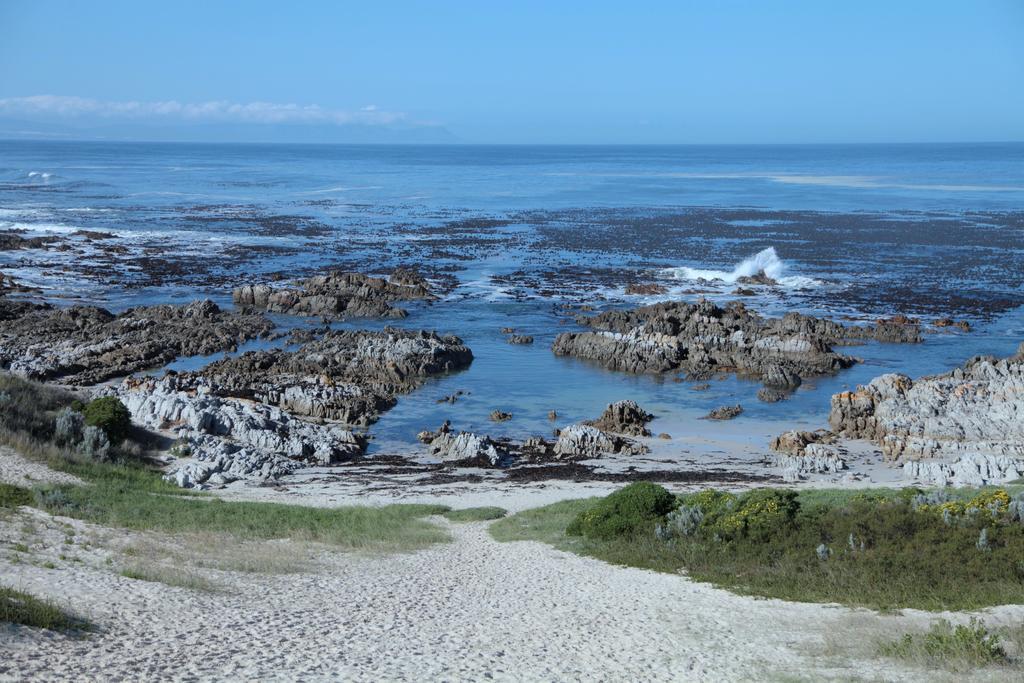 Charming Fisante House Villa Hermanus Exterior photo